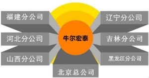 牛爾宏泰公司分布