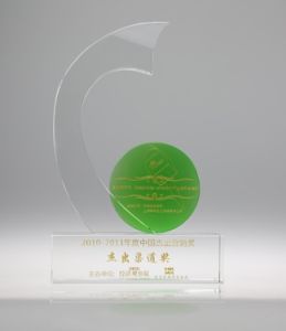 2010-2011年度中國傑出渠道獎