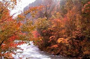 紅葉風景區[陵川縣紅葉風景區]