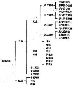 經絡系統