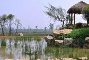 白雲鷺鷥旅遊景區