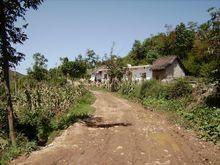 進村道路