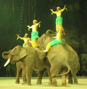 長隆夜間動物園表演