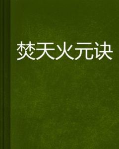 焚天火元訣