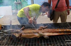 烤鱷魚