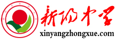 新陽線上logo