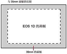 圖3：佳能EOS-1DCCD與全畫幅比較