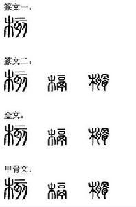 核[漢字]