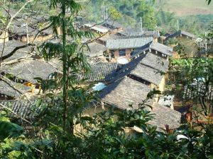 黃梨樹自然村[雲南省普洱市景東彝族自治縣]