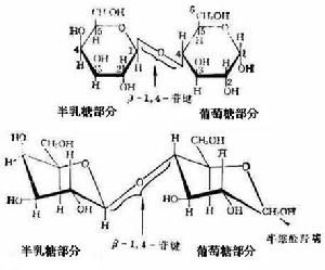 乳糖分子結構圖