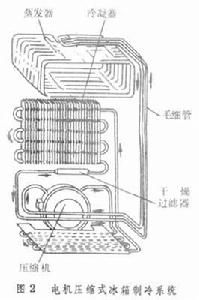 （圖）電冰櫃的秘密