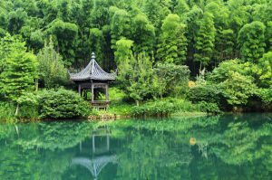 八仙湖森林公園