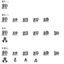 柳[漢語漢字]