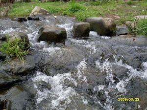 匯溪鎮江根村