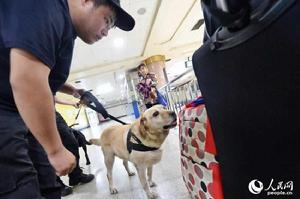 搜油警犬