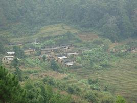 鳳凰村[雲南省普洱縣壩溜鄉哈布孔村鳳凰村]