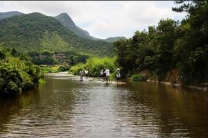 仙水洋