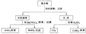 正鹽圖所示步驟進行實驗