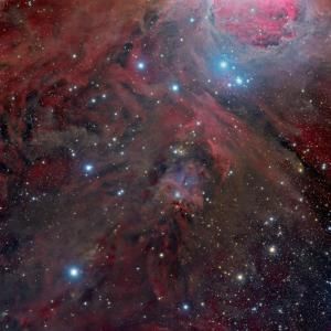 獵戶座反射星雲NGC1999