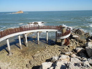 養馬島