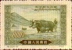 紀13.4-2西藏農民用氂牛生產（70r）