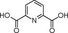 2,6-吡啶二羧酸