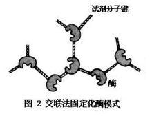 交聯法