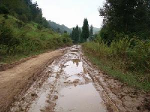 進村道路