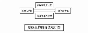 原核趨性情感