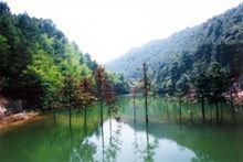 大路鎮風景