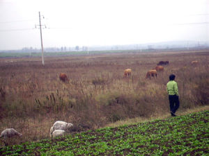 石窪村