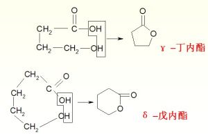 反應式