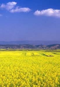 風景名勝區