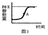 種群增長率