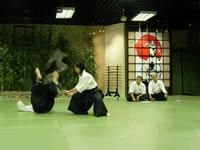 aikido