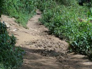 中點自然村村內道路