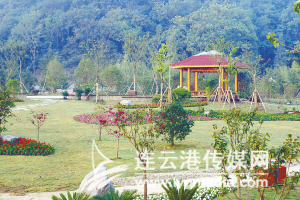 “梅林花雨”(南京園)