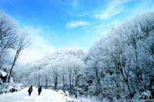 洛陽天池山