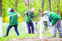 馬莊村[北京市延慶縣張山營鎮下轄村]