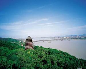 阜東村[廣東省中山市阜沙鎮下轄村]