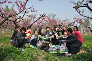 2013年3月30日王莽桃源“踏春觀花”之野餐