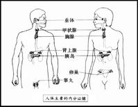 阿狄森氏病