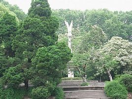 鯤鵬廣場