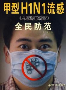 鄉鎮甲型H1N1流感防控工作方案