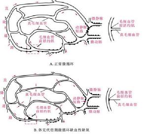 微循環