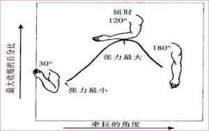 等長收縮