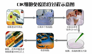 生物治療過程