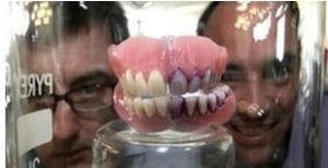 假牙的左邊用海藻菌酶處理過，右邊呈紫色部分沒有經過海藻菌酶處理。