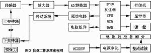 纖維[生物及化學概念]