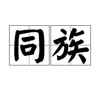 同族[字詞]